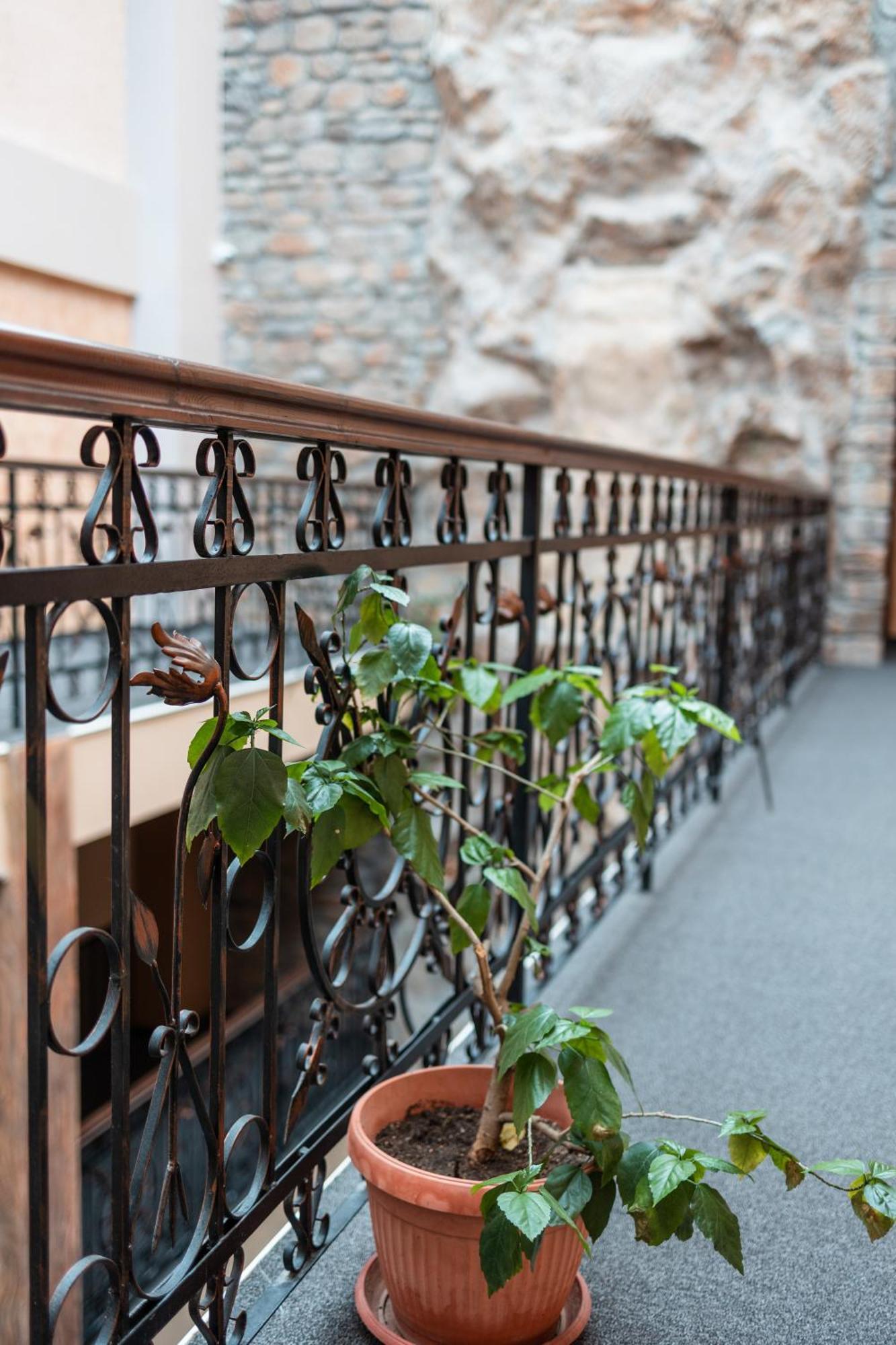 Hotel Neptun Видин Екстер'єр фото